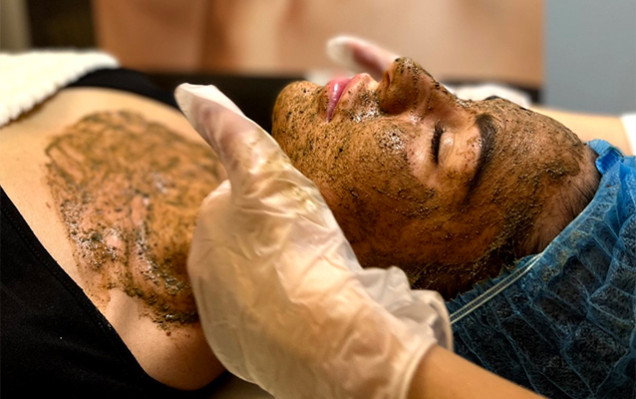 Meisterseminar: Algae Peeling – Theorie & Praxis (4 Stunden)